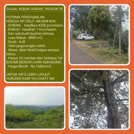 Kebun Durian Produktif Investasi sangat menguntungkan luas 8400 M2 Potensi penghasilan Ratusan juta di setiap musimnya . Ngadem nya dapat cuannya dapat. Lokasi 30 menit dari Gerbang Tol Bocimi (Exit tol Parungkuda) 008.