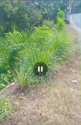 Dijual tanah strategis nol jalan raya cocok untuk usaha