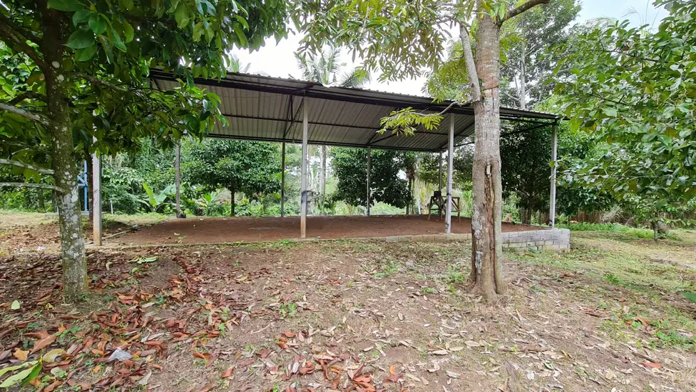Tanah kebun aspek perumahan