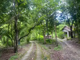 Tanah pekarangan jual murah