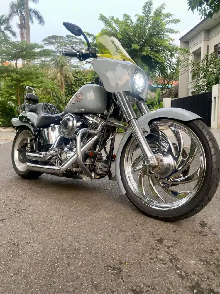 Harley Davidson softail custom