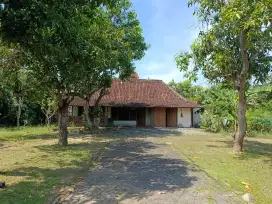 Dijual Rumah Joglo Kayu Jati – Klasik, Megah & Bersejarah