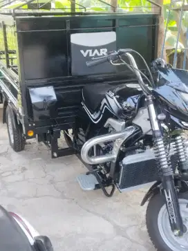 Motor roda tiga Viar 150L