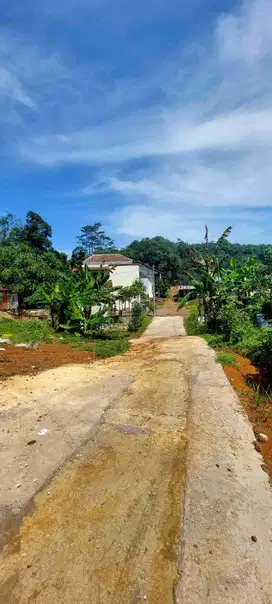 Kavling Murah SHM Ready Dekat Wisata Buah Cepoko Hanya 105 Jt