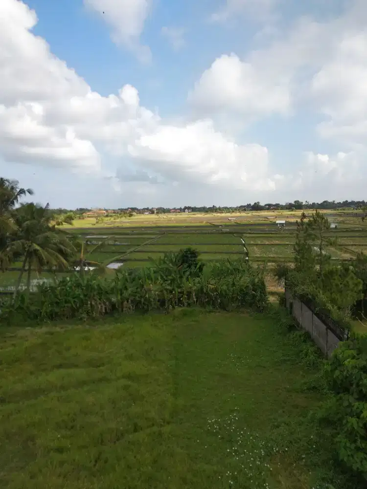 Di jual tanah area Jatiluwih