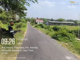 Tanah dijual SHM