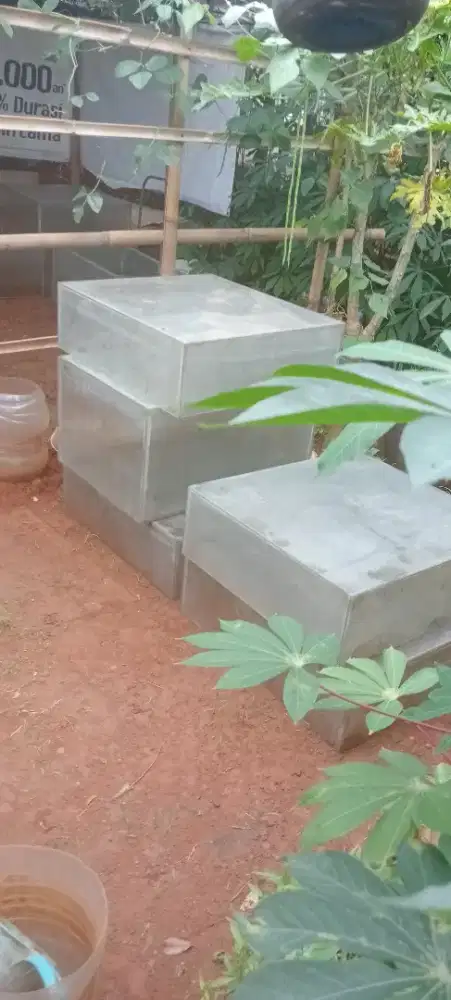 Kolam ikan hias