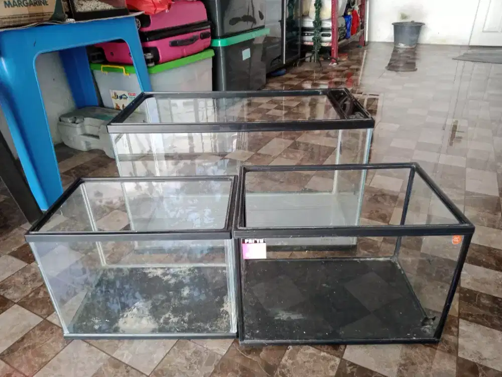 Aquarium Segala Jenis Ikan
