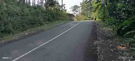 dijual tanah murah,pinggir jalan raya.dekat kopi pari,sungai mudal dll.