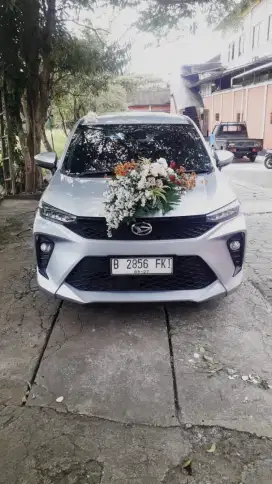 New xenia th 2022