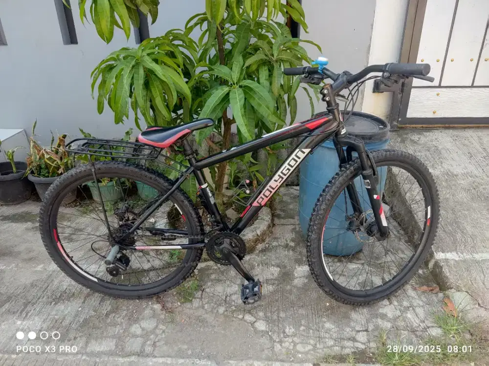Sepeda gunung polygon