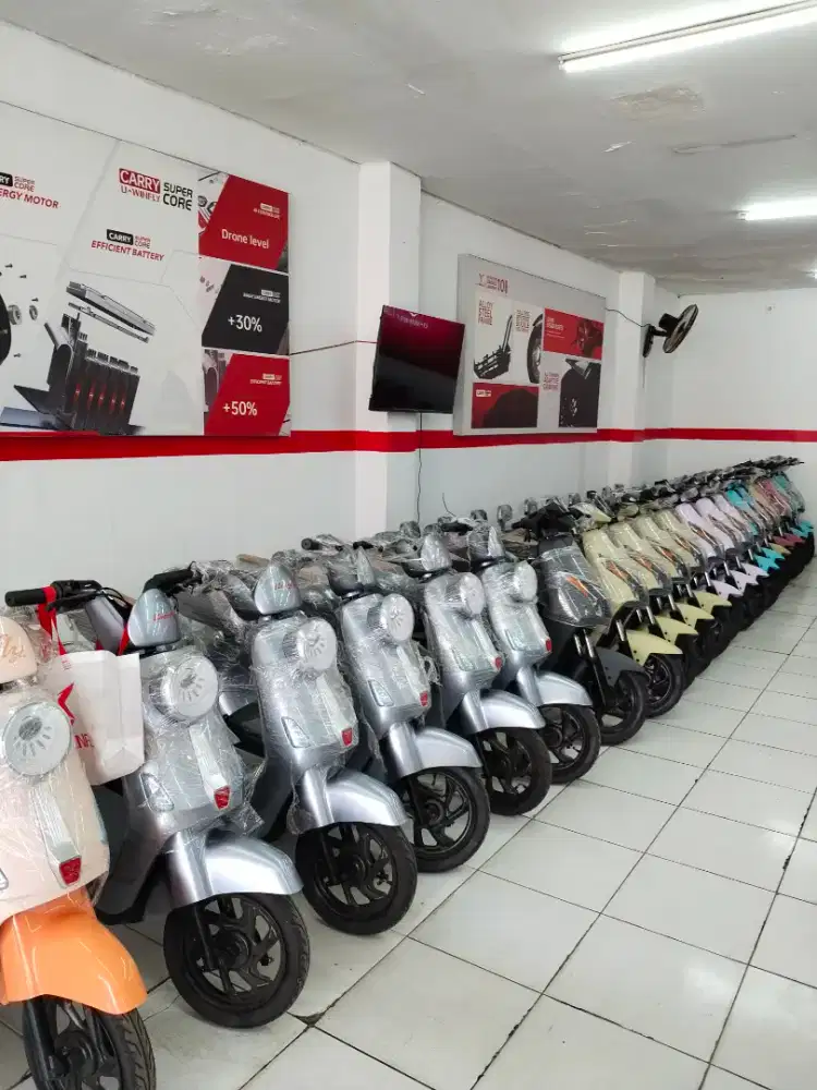 Sepeda listrik T60
