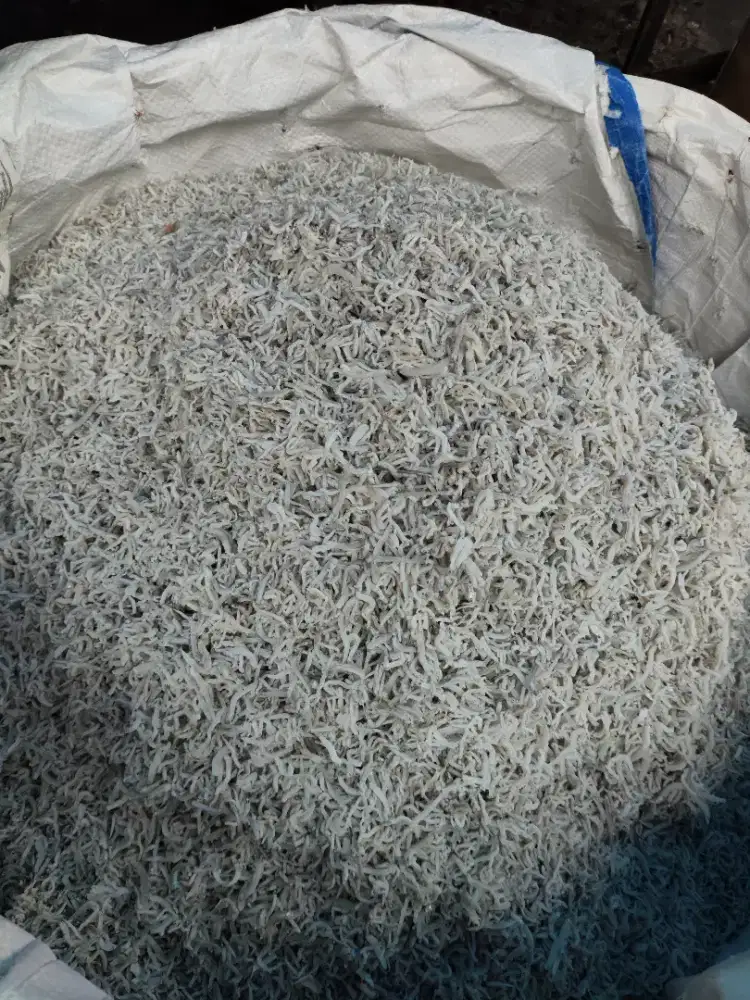 ikan teri Medan original