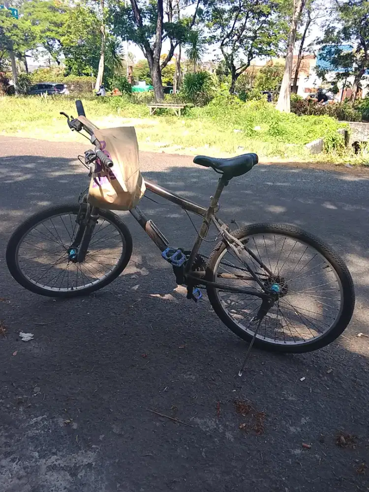 Mencari Kerja Karyawan Cowok Serabutan