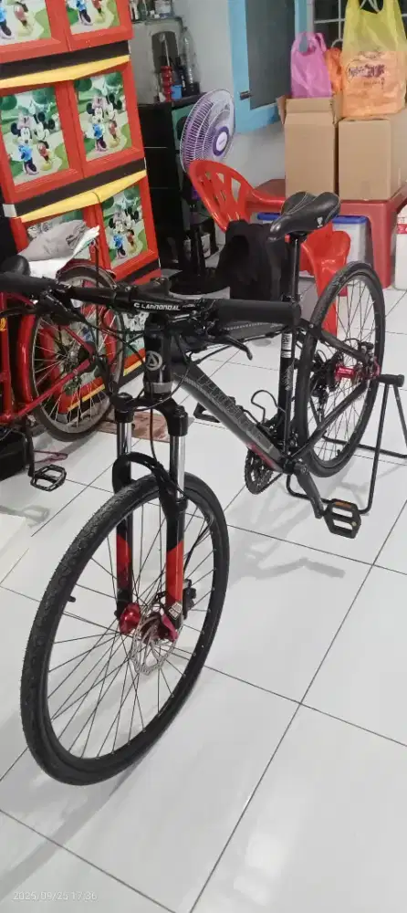 Mtb 26 pacific tranzline 900