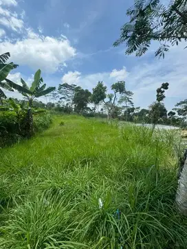 Disewakan tanah dekat ketep pass