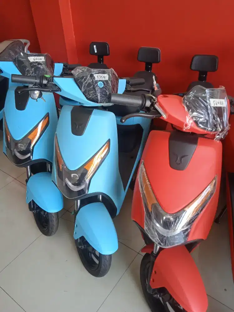 Sepeda Listrik U-winfly 2025 (D65)