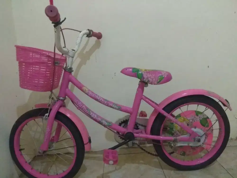 Sepeda Anak Roda 2