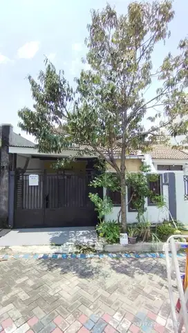 Disewakan Rumah Murah 2 Lantai di Malang