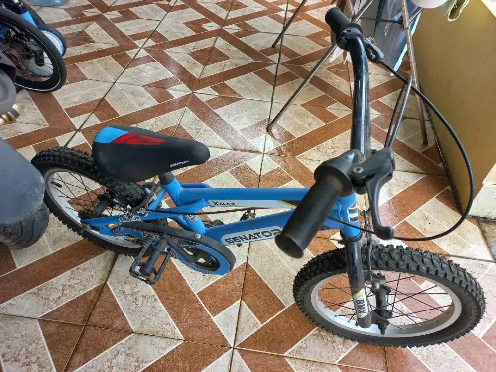 Sepeda anak bmx