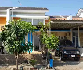 Sewakan furnish murah di perumahan Green Semanggi Mangrove, Wonorejo, Surabaya