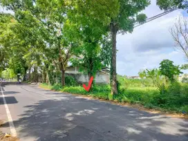 Dijual Tanah Luas Strategis Premium Area Jalan GTA Timur Sleman City Hall