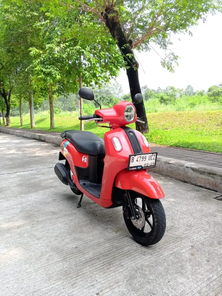 Fazzio Neo 2024 pajak hidup