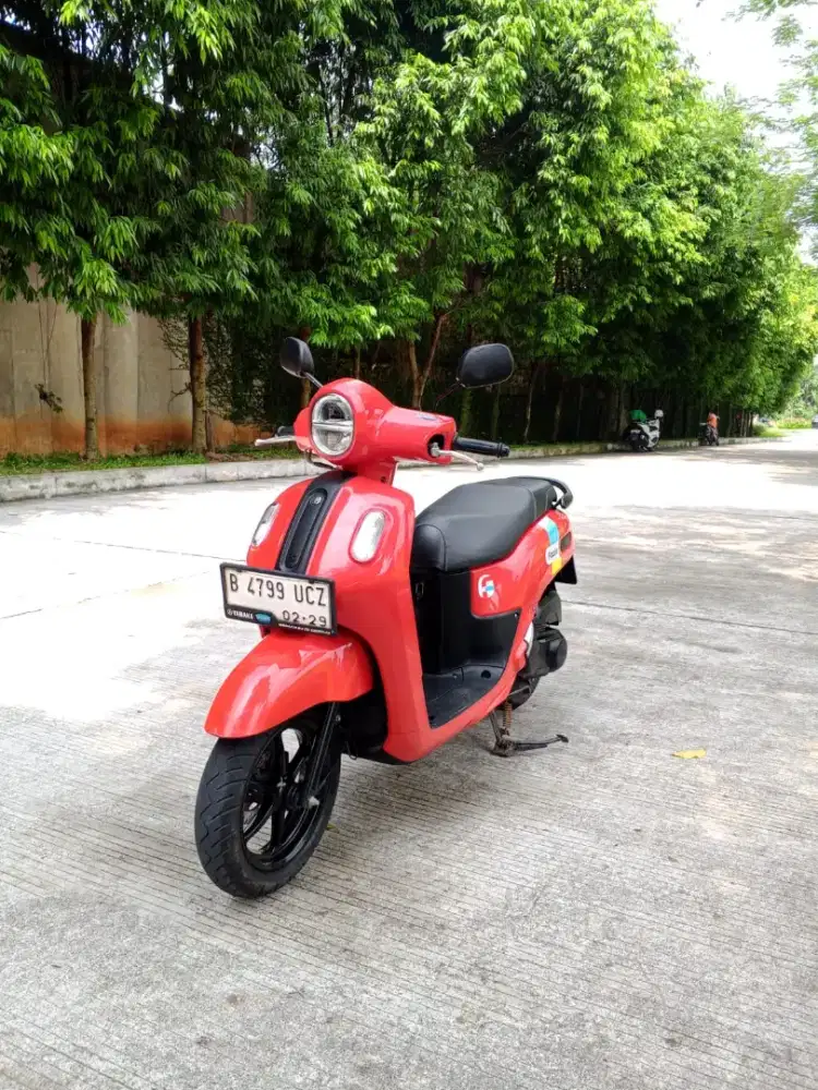Fazzio Neo 2024 Pajak Hidup keyless