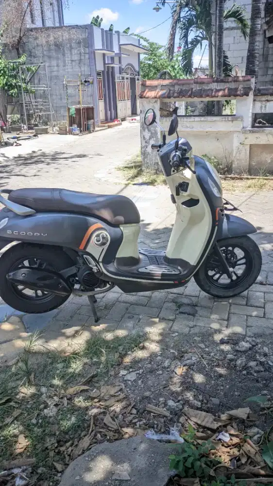 Honda scoopy sporty 2021