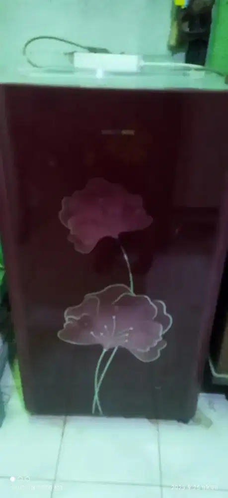 Kulkas Polytron 1 pintu