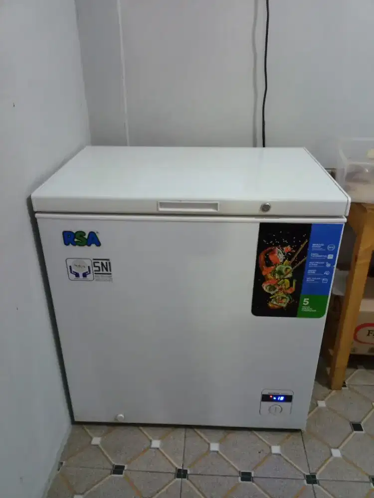 Freezer RSA mulus 200liter