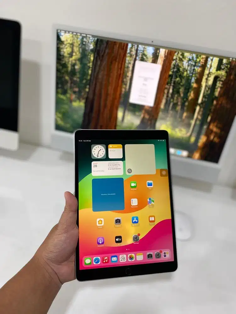 IPAD PRO 2017 256GB NORMAL