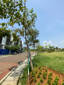PIK Dijual Kavling  Golf Island