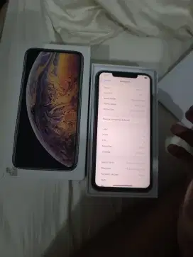 Iphone xs max 256gb