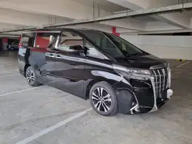 TOYOTA ALPHARD LIFT KURSI RODA BARU EX SWEDIA TIPE G 2021