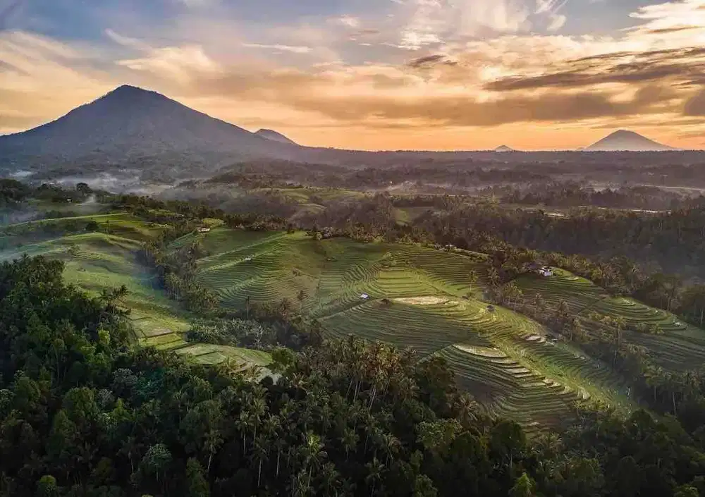 kontrakan tanah ex resto belimbing pupuan