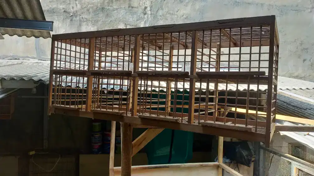 dongdang 8 pintu