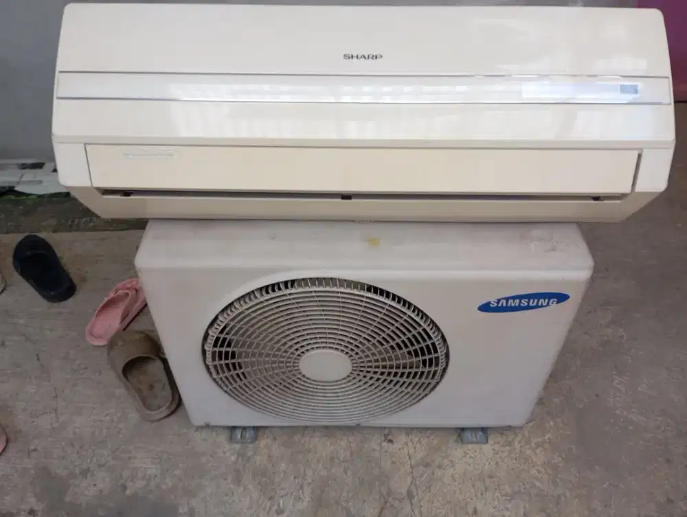 Ac Sharp 1 pk joss normal