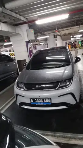 BYD Dolphin 2024 Listrik