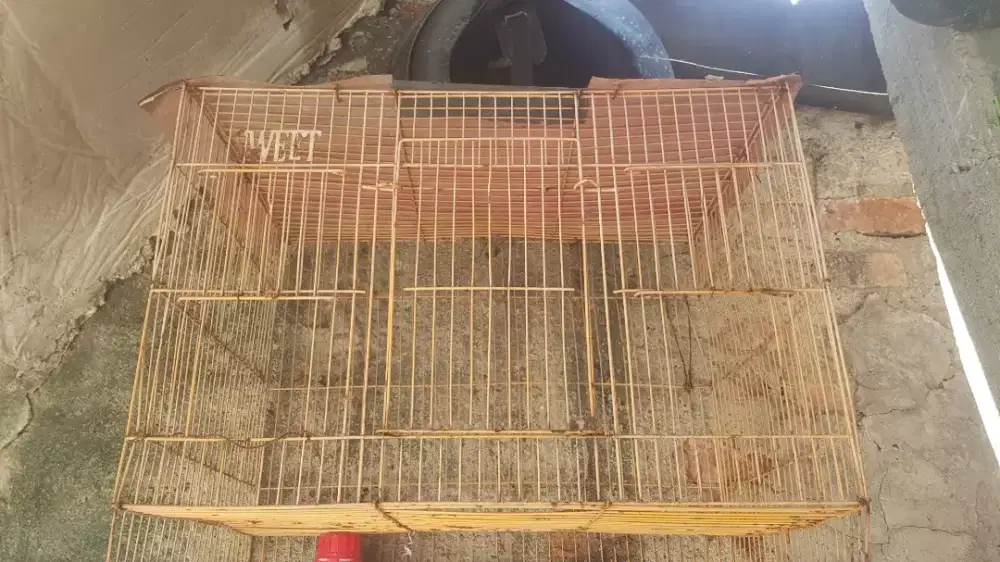 Kandang burung dara