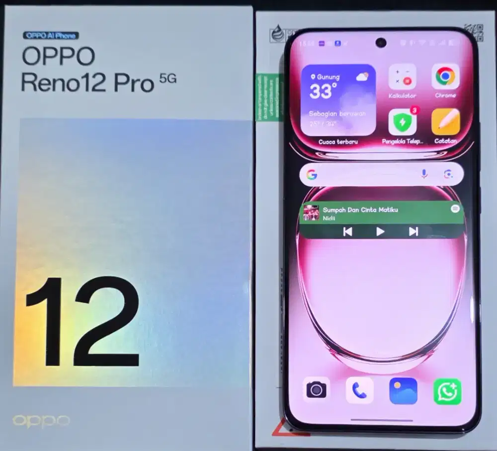 Oppo Reno 12 Pro 5G 12/512