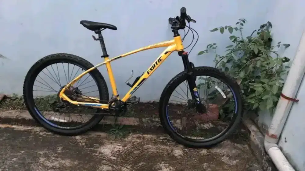 Sepeda MTB exotic simano frame alloy