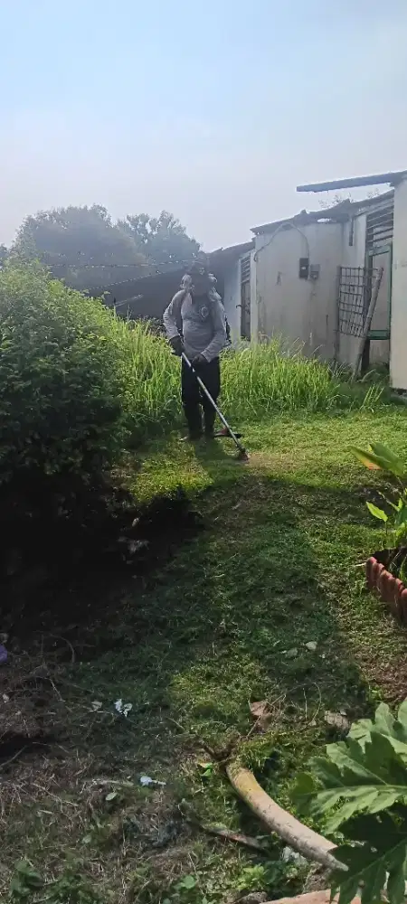 Jasa potong rumput rumahan
