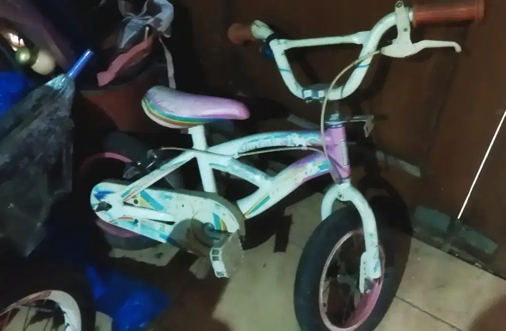 Sepeda anak wim cycle