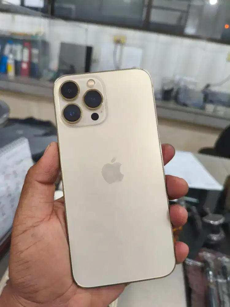 Iphone 13 pro max 256 lengkap