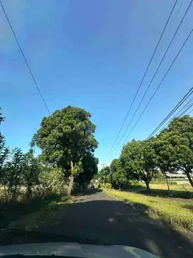 DIJUAL TANAH KOMERSIAL PANDERMAN HILL BATU MALANG JAWA TIMUR DEKAT HOTEL MEWAH GOLDEN TULIP