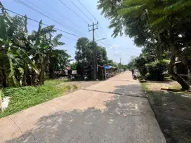 Kavling murah Cisauk dekat BSD & Stasiun Jatake
