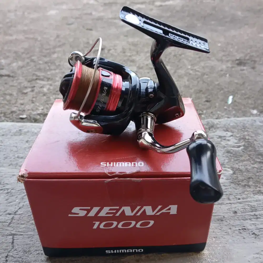 Reel Shimano & Joran Daido