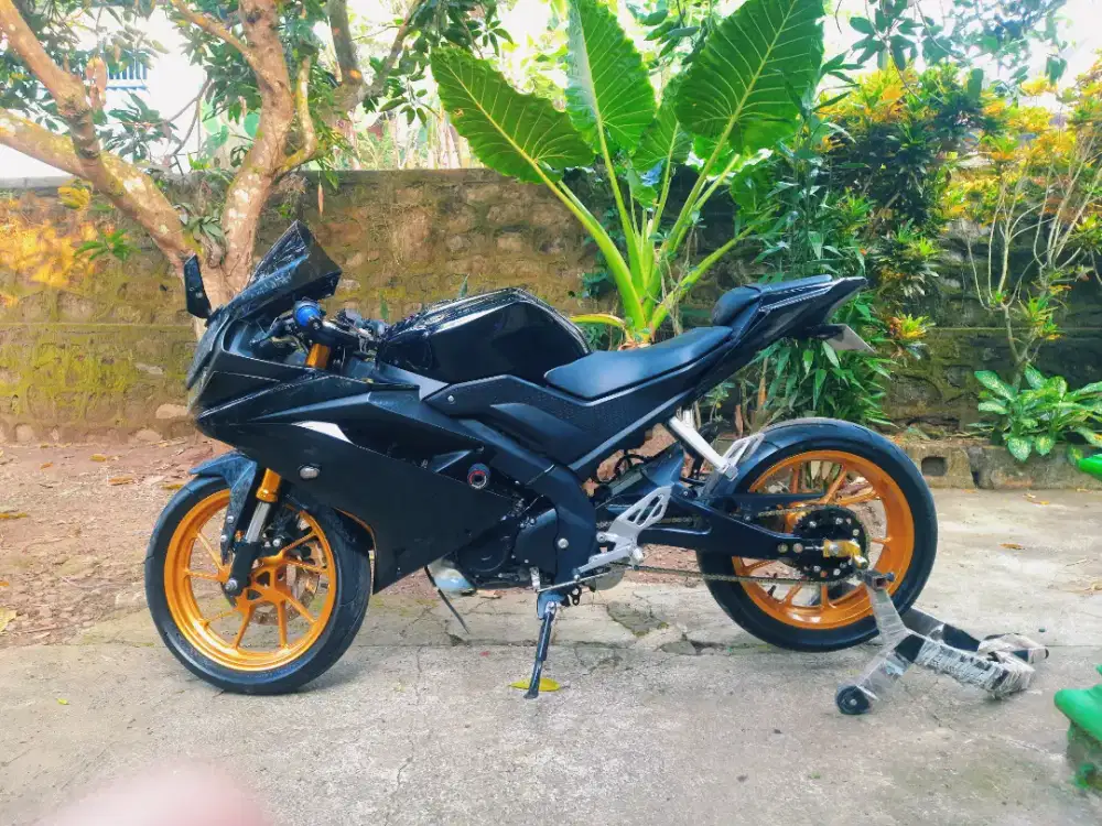Yamaha r15 v3 2019