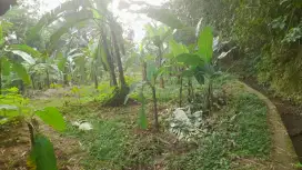 Tanah Super Murah